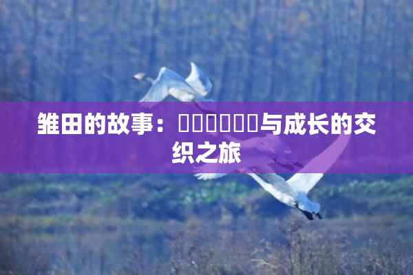 雏田的故事：❌‌❌‌❌‌与成长的交织之旅