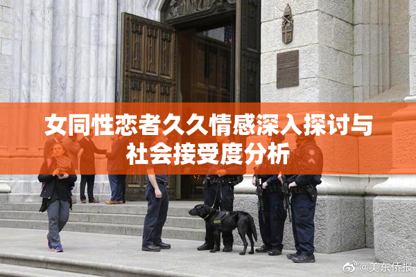 女同性恋者久久情感深入探讨与社会接受度分析