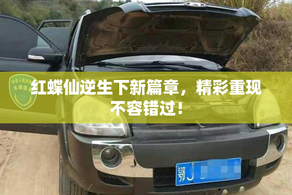 红蝶仙逆生下新篇章，精彩重现不容错过！