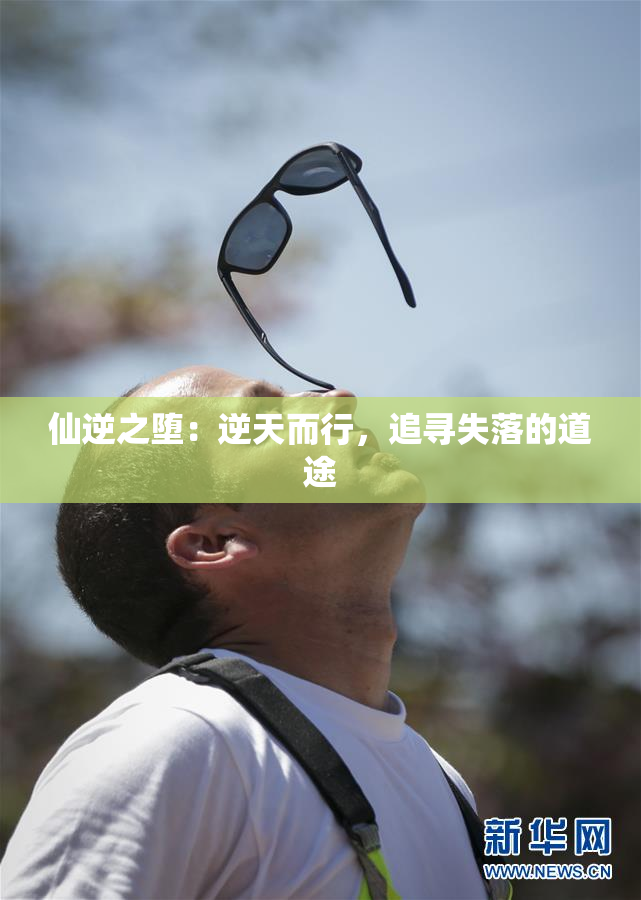 仙逆之堕：逆天而行，追寻失落的道途