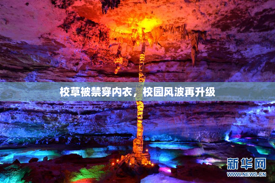 校草被禁穿内衣，校园风波再升级