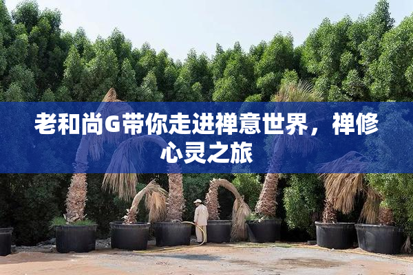老和尚G带你走进禅意世界，禅修心灵之旅