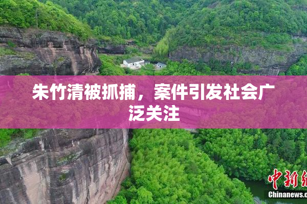 朱竹清被抓捕，案件引发社会广泛关注