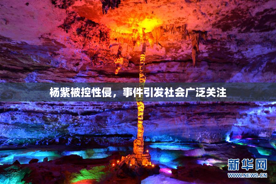 杨紫被控性侵，事件引发社会广泛关注
