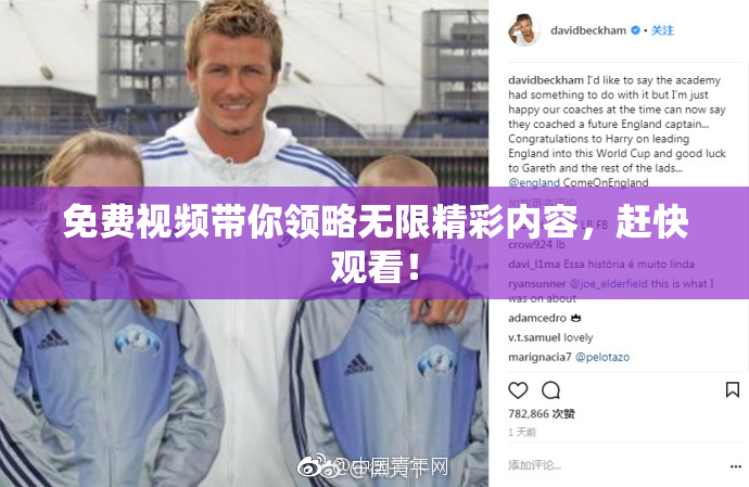 免费视频带你领略无限精彩内容，赶快观看！