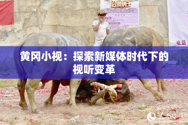 黄冈小视：探索新媒体时代下的视听变革