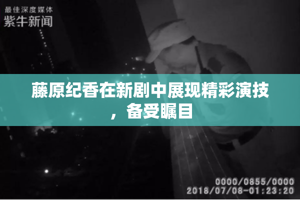 藤原纪香在新剧中展现精彩演技，备受瞩目