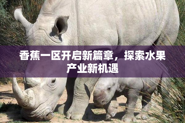 香蕉一区开启新篇章，探索水果产业新机遇