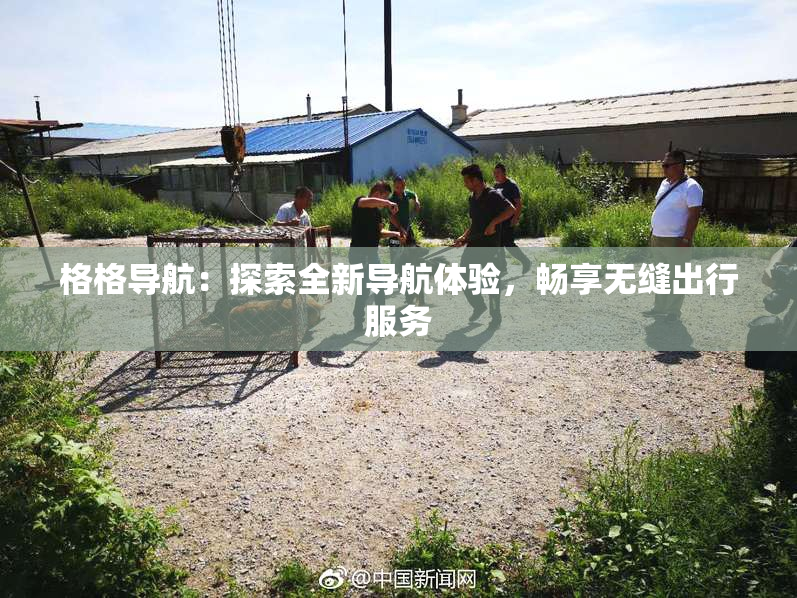 格格导航：探索全新导航体验，畅享无缝出行服务
