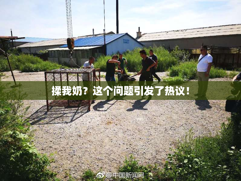 揉我奶？这个问题引发了热议！