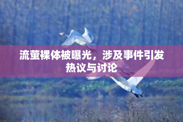 流萤裸体被曝光，涉及事件引发热议与讨论