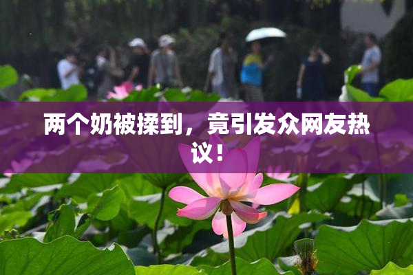 两个奶被揉到，竟引发众网友热议！