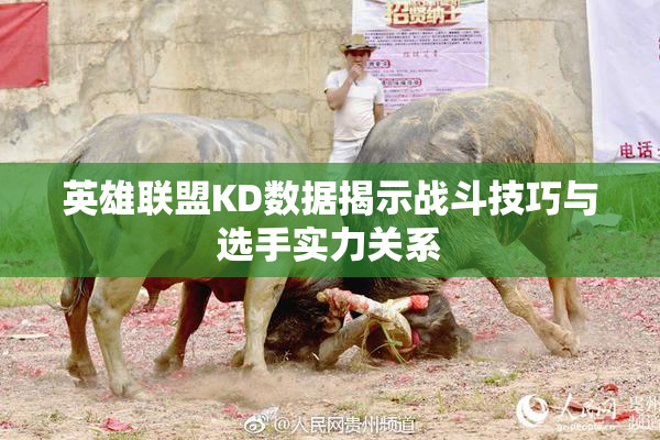 英雄联盟KD数据揭示战斗技巧与选手实力关系