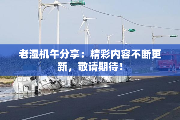 老湿机午分享：精彩内容不断更新，敬请期待！
