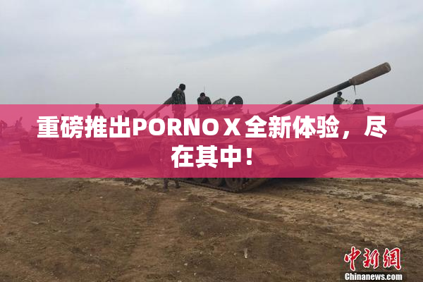 重磅推出PORNOⅩ全新体验，尽在其中！