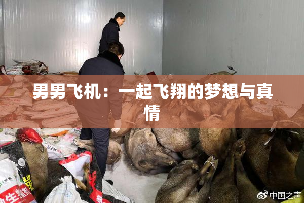 男男飞机：一起飞翔的梦想与真情