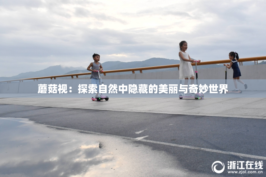 蘑菇视：探索自然中隐藏的美丽与奇妙世界