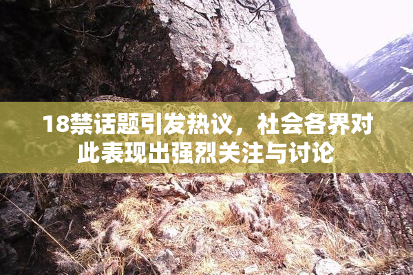 18禁话题引发热议，社会各界对此表现出强烈关注与讨论