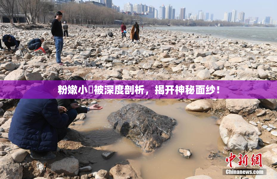 粉嫩小泬被深度剖析，揭开神秘面纱！