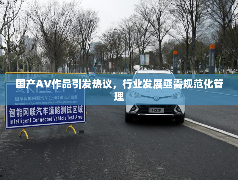 国产AV作品引发热议，行业发展亟需规范化管理