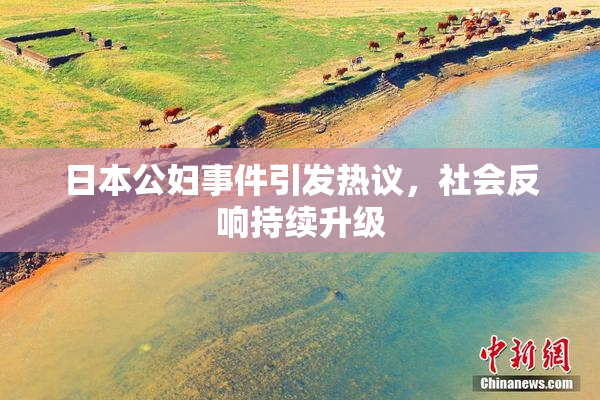 日本公妇事件引发热议，社会反响持续升级