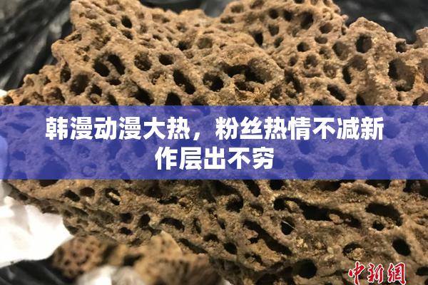 韩漫动漫大热，粉丝热情不减新作层出不穷