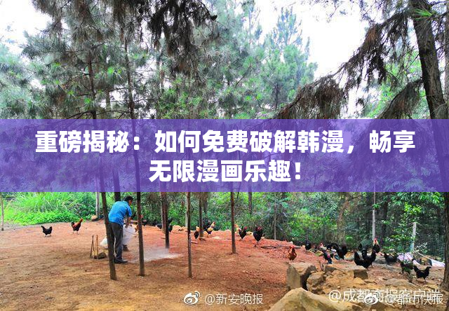 重磅揭秘：如何免费破解韩漫，畅享无限漫画乐趣！