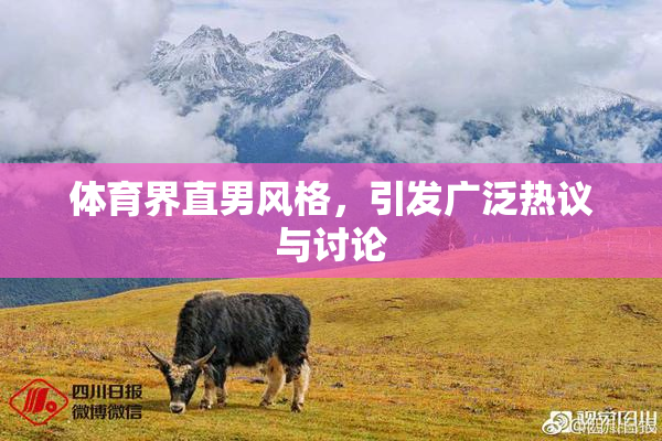 体育界直男风格，引发广泛热议与讨论