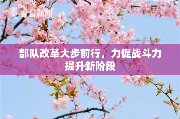 部队改革大步前行，力促战斗力提升新阶段