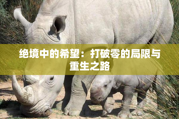 绝境中的希望：打破零的局限与重生之路