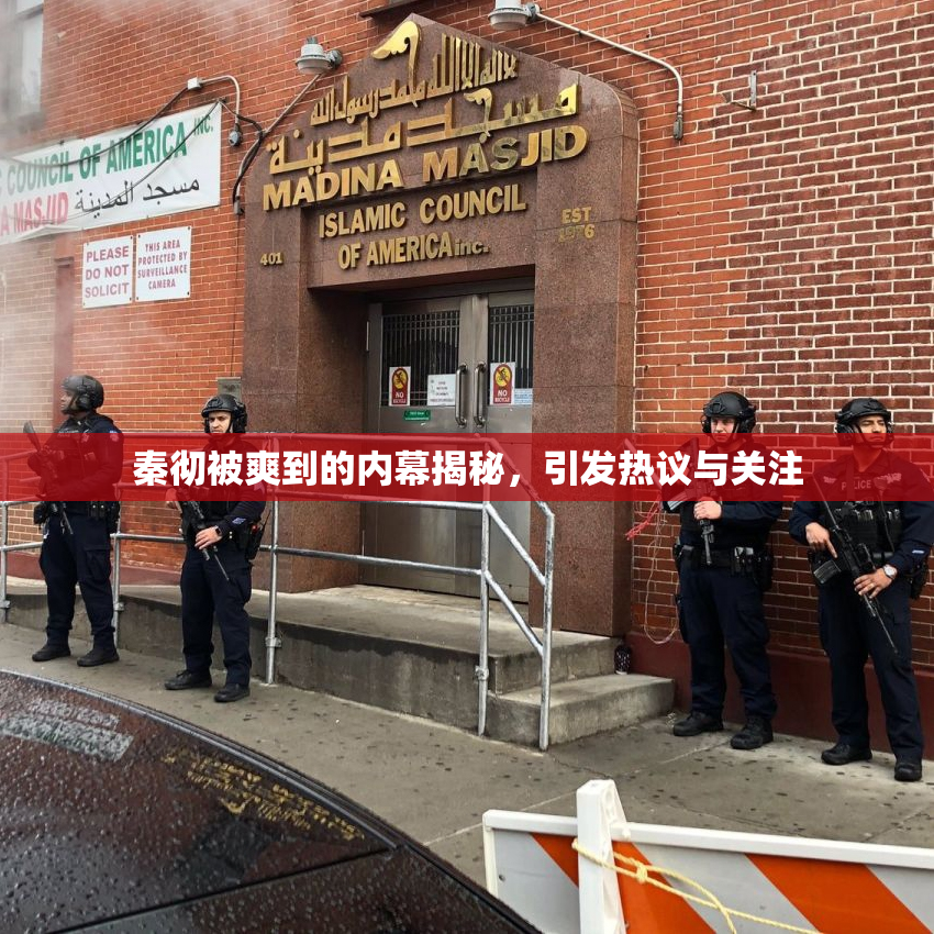 秦彻被爽到的内幕揭秘，引发热议与关注