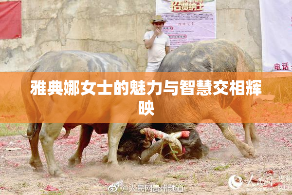 雅典娜女士的魅力与智慧交相辉映
