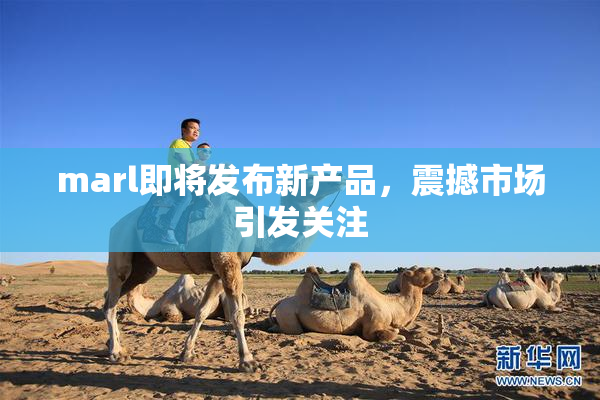 marl即将发布新产品，震撼市场引发关注