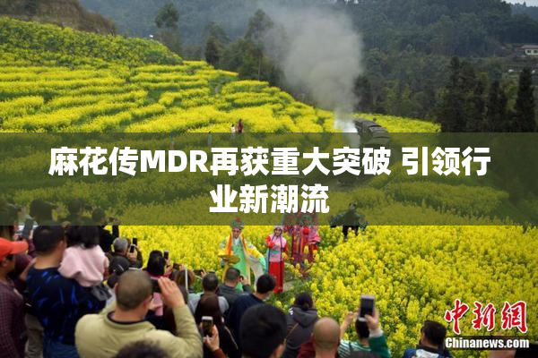 麻花传MDR再获重大突破 引领行业新潮流