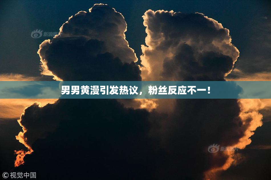 男男黄漫引发热议，粉丝反应不一！