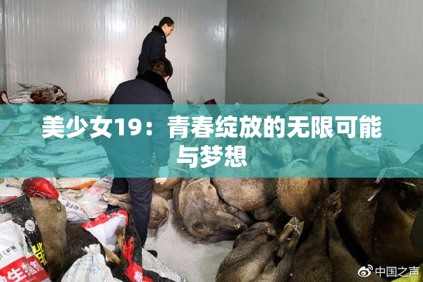 美少女19：青春绽放的无限可能与梦想