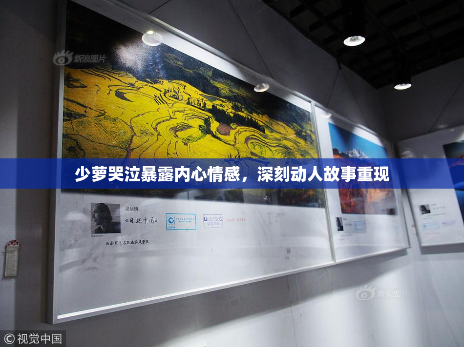 少萝哭泣暴露内心情感，深刻动人故事重现
