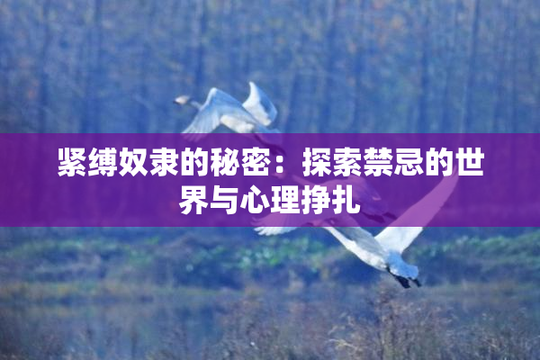 紧缚奴隶的秘密：探索禁忌的世界与心理挣扎