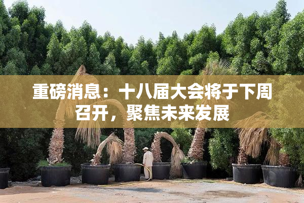 重磅消息：十八届大会将于下周召开，聚焦未来发展