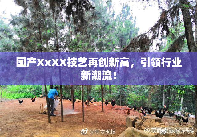 国产XxXX技艺再创新高，引领行业新潮流！