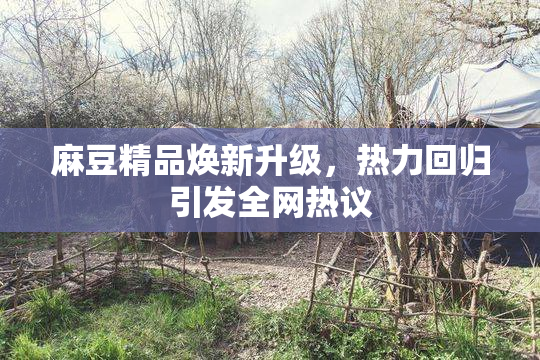 麻豆精品焕新升级，热力回归引发全网热议
