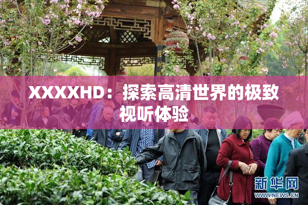 XXXXHD：探索高清世界的极致视听体验
