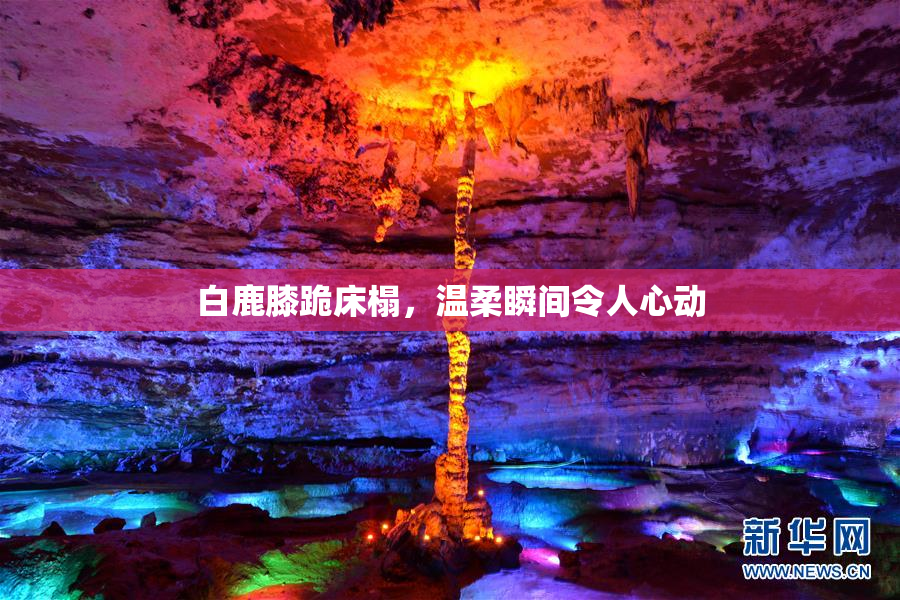 白鹿膝跪床榻，温柔瞬间令人心动