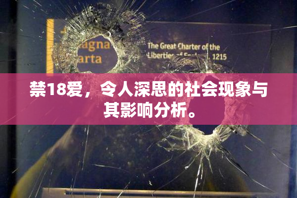 禁18爱，令人深思的社会现象与其影响分析。