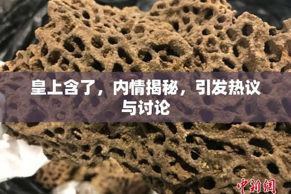 皇上含了，内情揭秘，引发热议与讨论