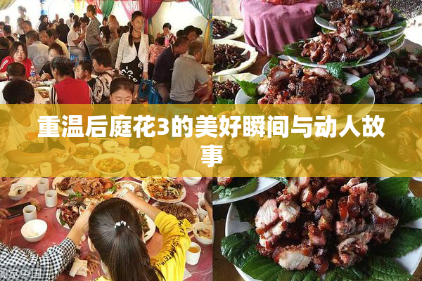 重温后庭花3的美好瞬间与动人故事