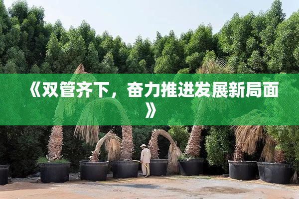 《双管齐下，奋力推进发展新局面》