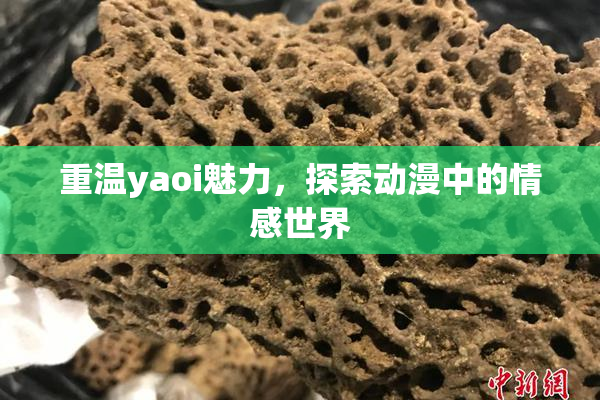 重温yaoi魅力，探索动漫中的情感世界