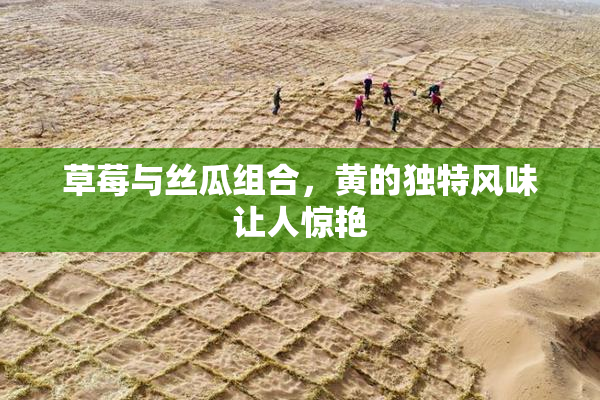 草莓与丝瓜组合，黄的独特风味让人惊艳