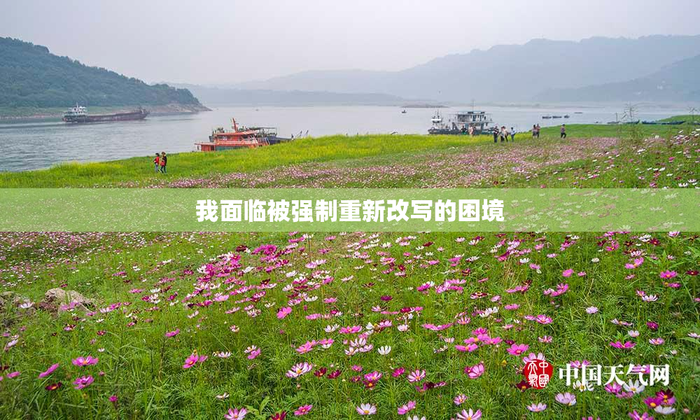 我面临被强制重新改写的困境